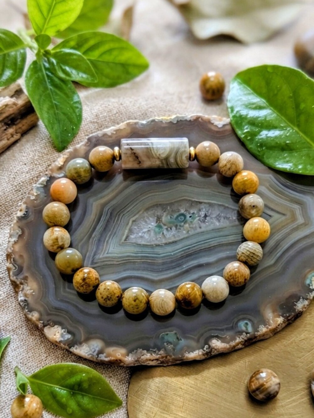 Fossil Coral/Mexican Laguna Lace Agate Bracelet